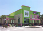 NNN Sweetfrogs For Sale